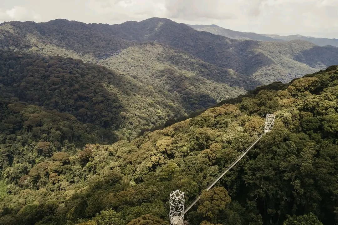 Nyungwe National Park